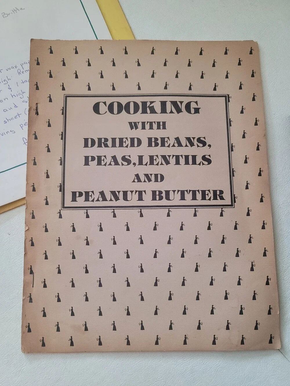 Vintage 1970s–2000 Illinois Community Cookbook Lot (9 Pcs)